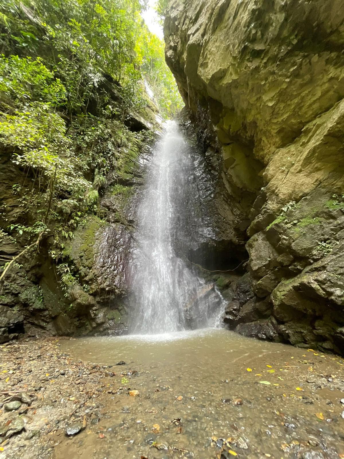 Paisaje 2
