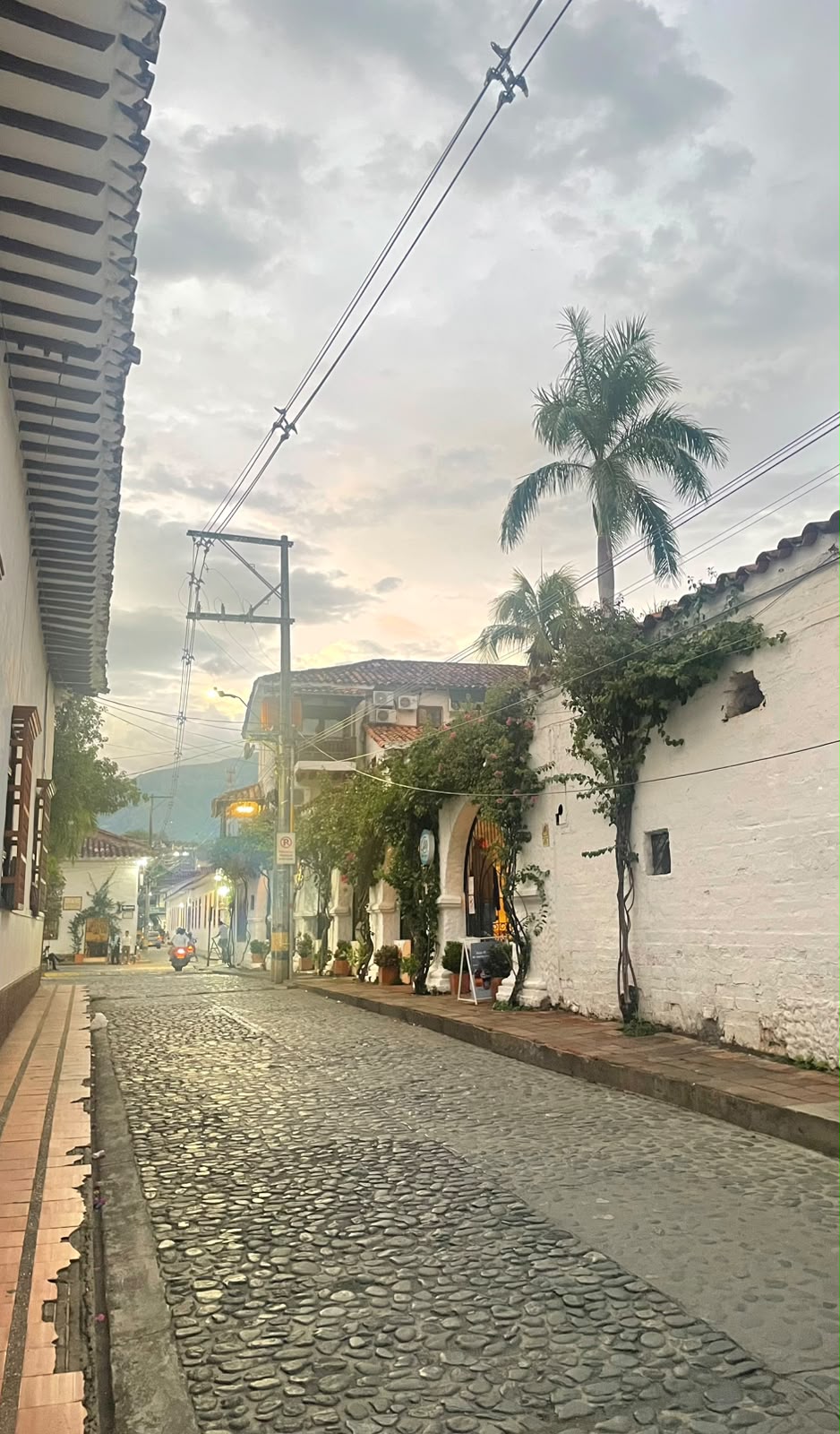 Paisaje 1