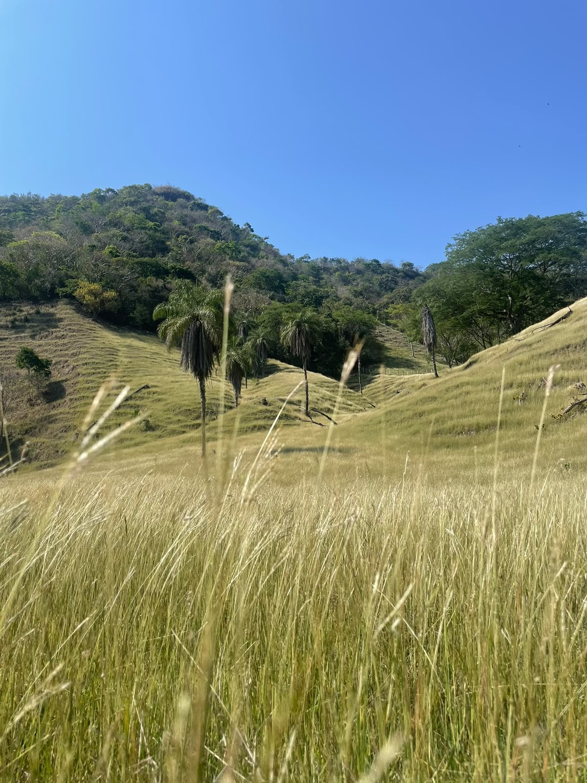 Paisaje 2